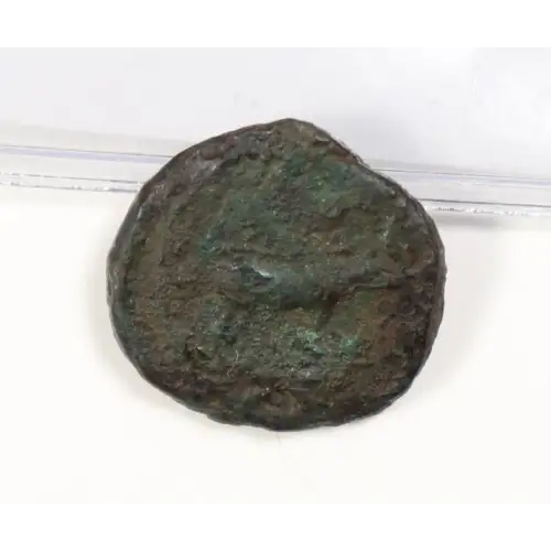 Ancient Roman Coin (2)