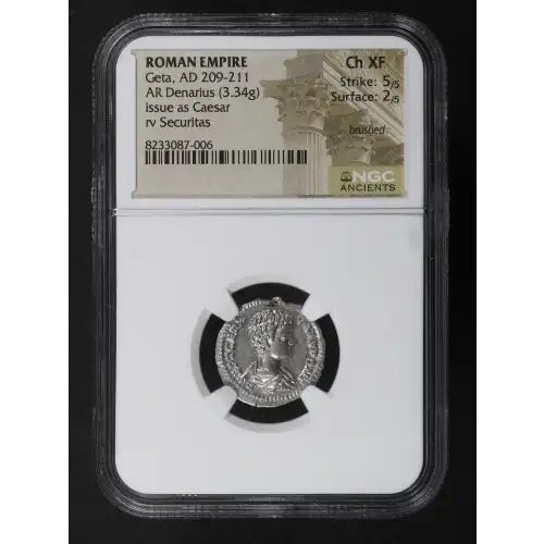 Ancient Roman Coin (2)