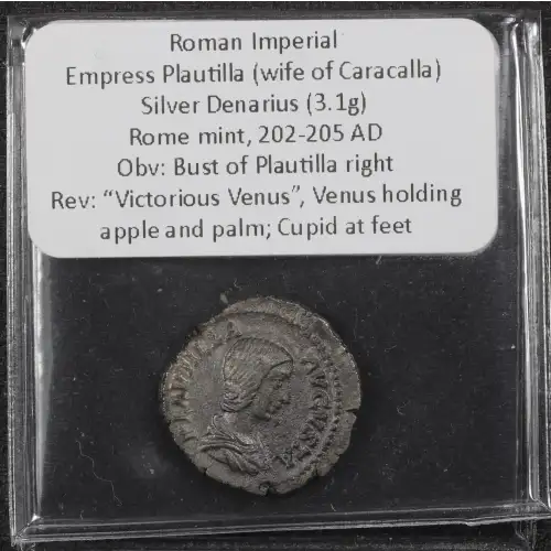 Ancient Roman Coin (4)