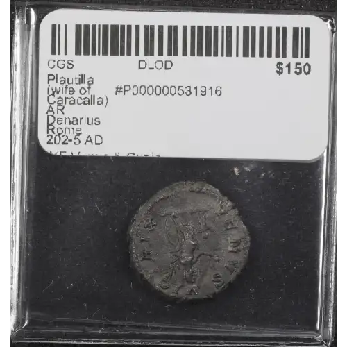 Ancient Roman Coin (3)