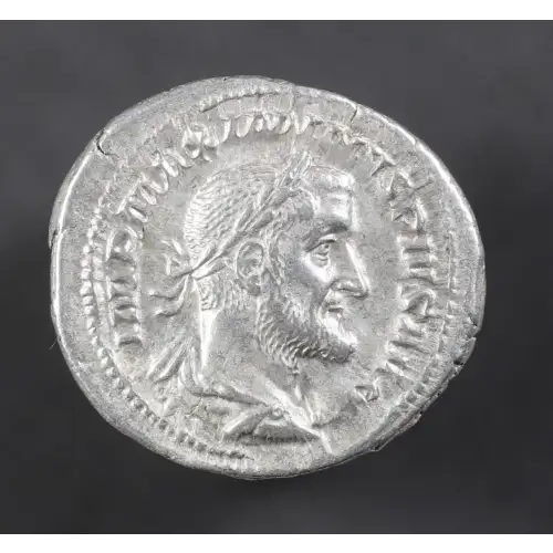 Ancient Roman Coin (2)