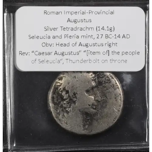 Ancient Roman Coin (3)