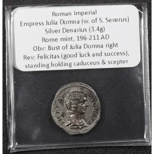 Ancient Roman Coin (4)