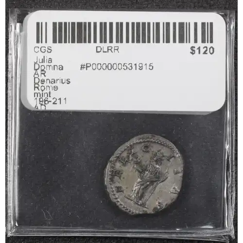 Ancient Roman Coin (3)