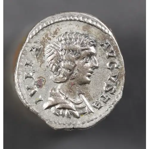 Ancient Roman Coin