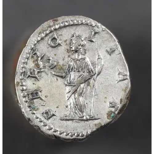 Ancient Roman Coin (2)