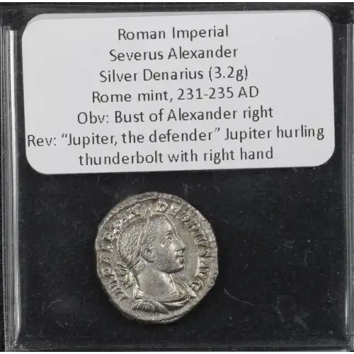 Ancient Roman Coin (3)