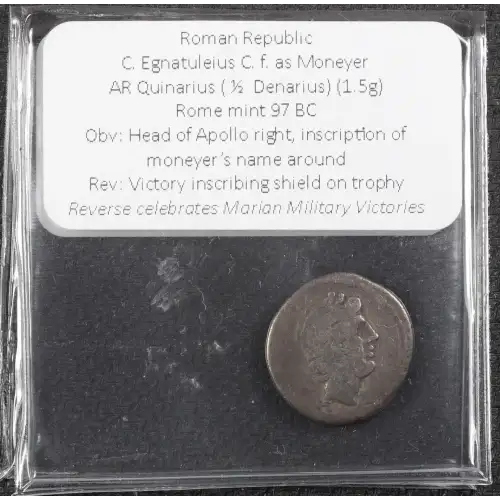Ancient Roman Coin (3)