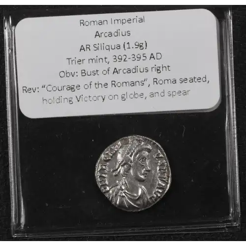 Ancient Roman Coin (4)