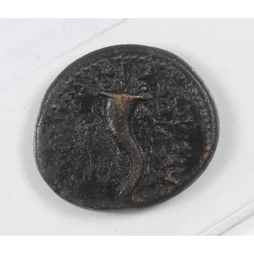 Ancient Roman Coin