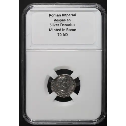Ancient Roman Coin (3)