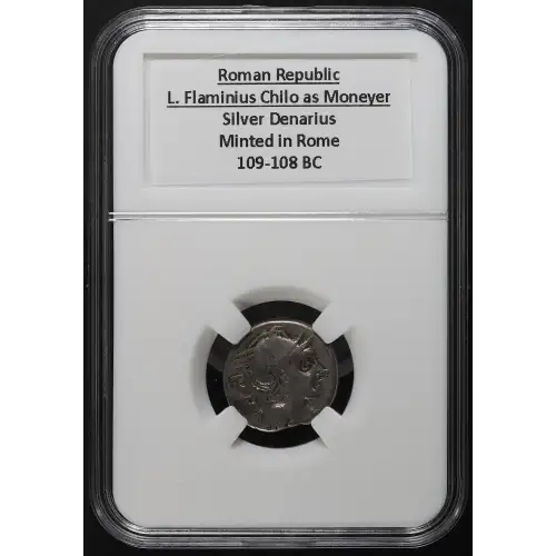 Ancient Roman Coin (3)