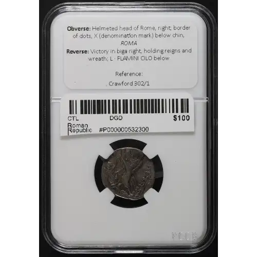 Ancient Roman Coin (4)