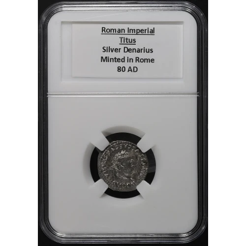 Ancient Roman Coin (3)