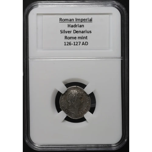 Ancient Roman Coin (3)