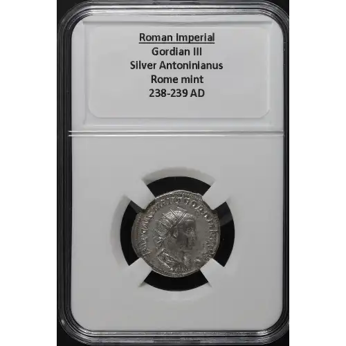 Ancient Roman Coin (3)