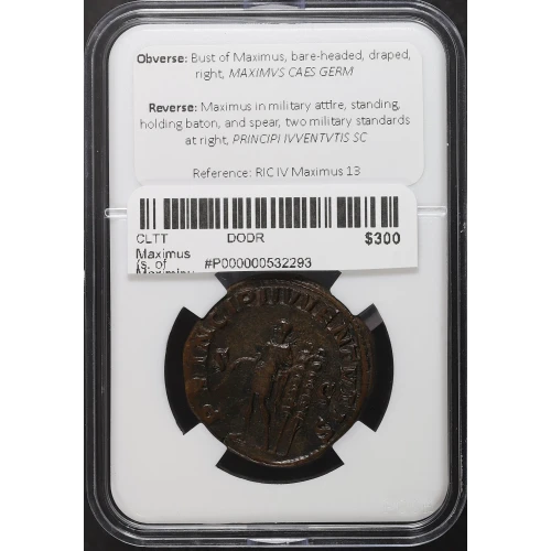 Ancient Roman Coin (4)