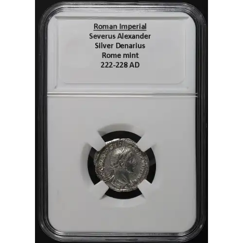 Ancient Roman Coin (3)
