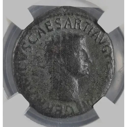 Ancient Roman Coin