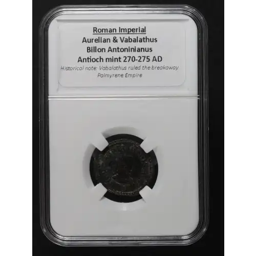 Ancient Roman Coin (3)