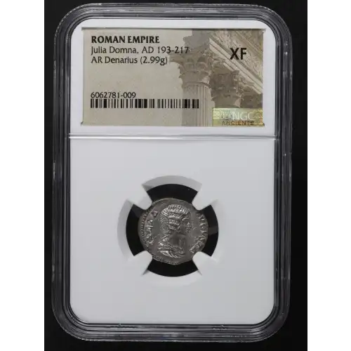 Ancient Roman Coin (4)