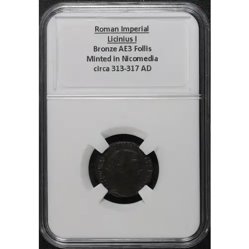 Ancient Roman Coin (3)
