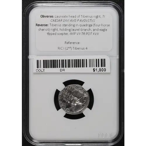 Ancient Roman Coin (4)