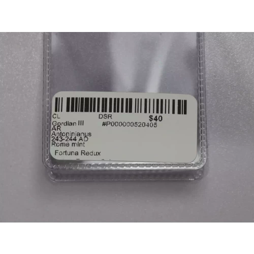 Gordian III AR Antoninianus 243-244 AD Rome mint  Fortuna Redux Reverse (3)