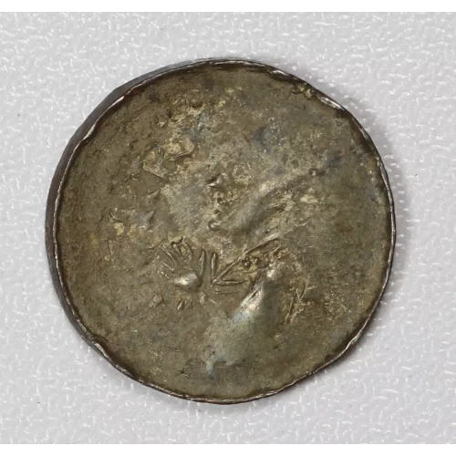 Medieval Coin (2)