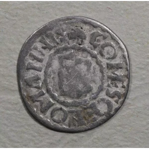 Medieval Coin