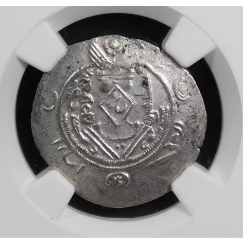 Medieval Coin (2)