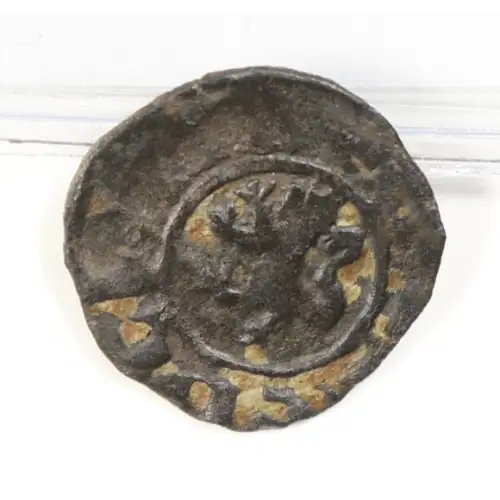 Medieval Coin (2)