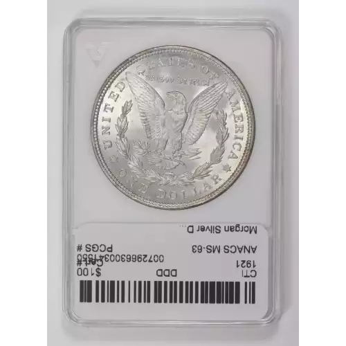 Morgan Silver Dollar (2)