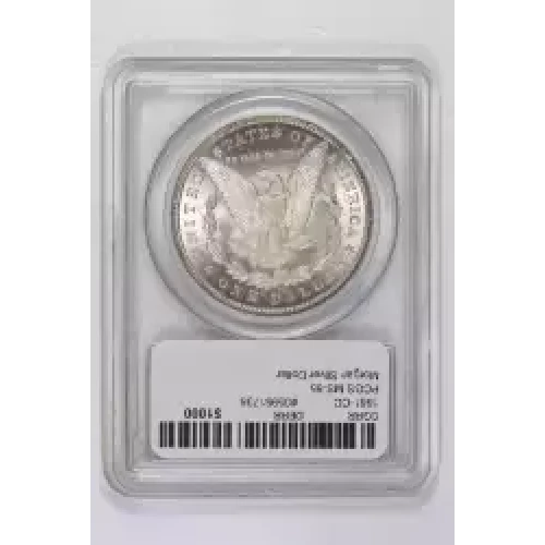 Morgan Silver Dollar (2)