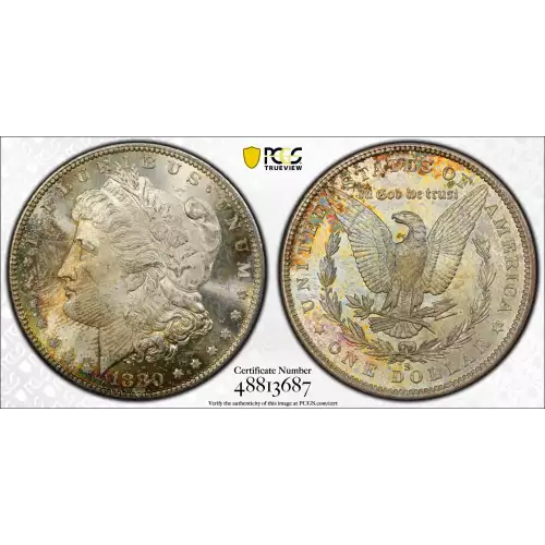 Morgan Silver Dollar (2)