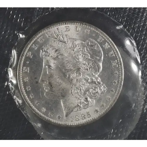 Morgan Silver Dollar (2)