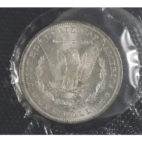 Morgan Silver Dollar