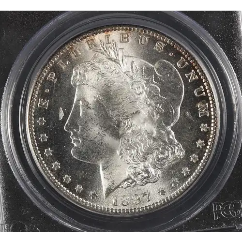 Morgan Silver Dollar