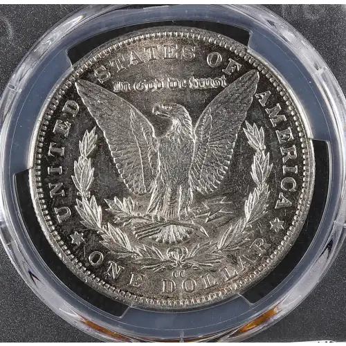 Morgan Silver Dollar (2)