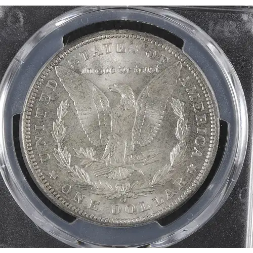 Morgan Silver Dollar (2)