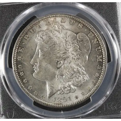 Morgan Silver Dollar (2)