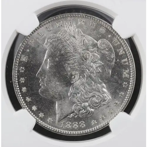 Morgan Silver Dollar (2)