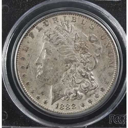 Morgan Silver Dollar (2)