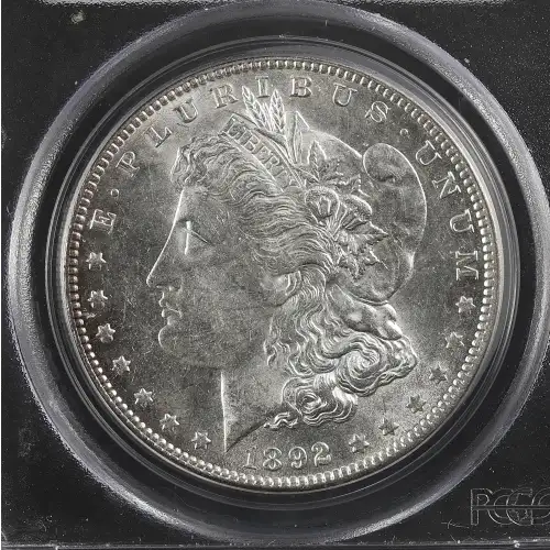 Morgan Silver Dollar (2)
