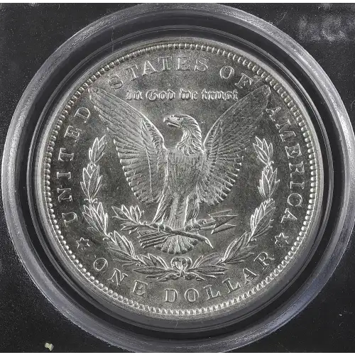 Morgan Silver Dollar