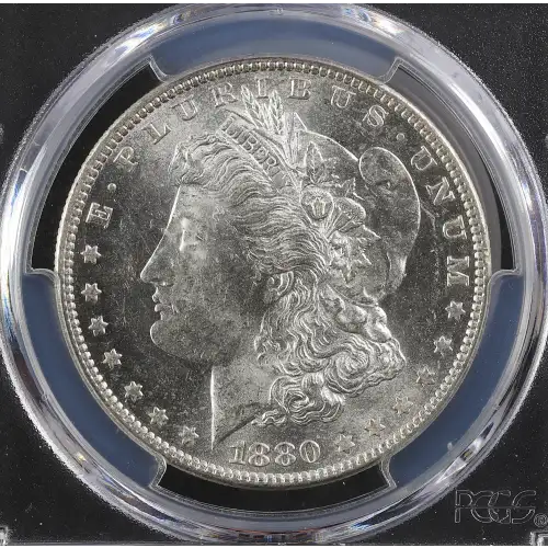 Morgan Silver Dollar (2)
