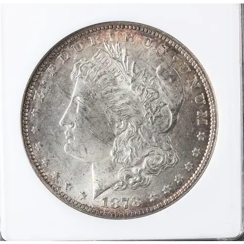 Morgan Silver Dollar (2)