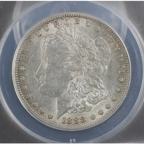 Morgan Silver Dollar (2)