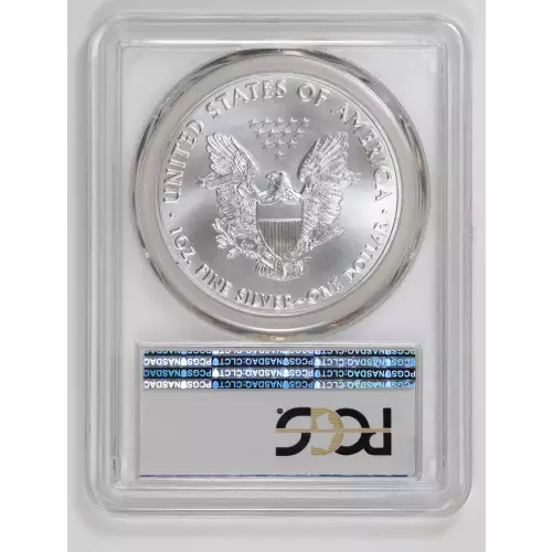 Silver Eagles (2)