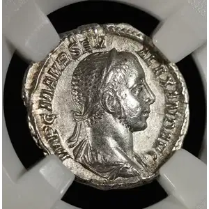 Ancient Roman Coin (5)